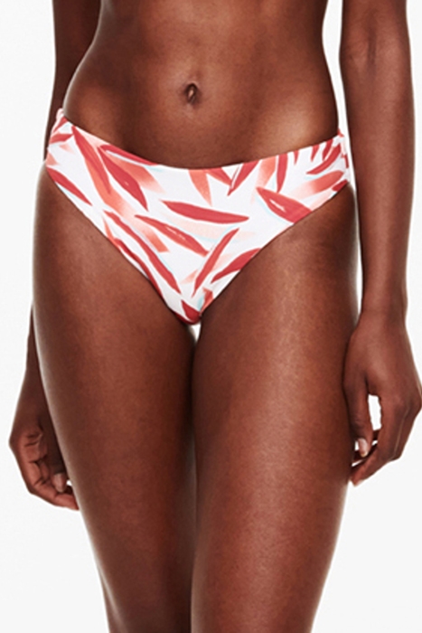 SW BO. BRIEF RED LEAVES 2