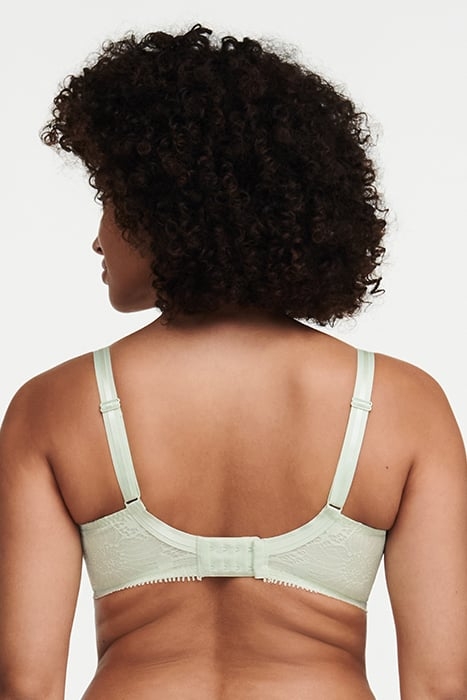 DAY TO NIGHT GREEN LILY 3