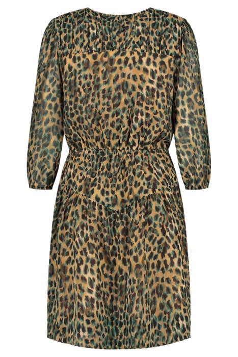 ROSSY SHORT DRESS LEOPARD 2