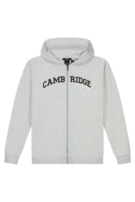 ONE CITY ZIP HOODIE LIGHT GREY MELANGE 3