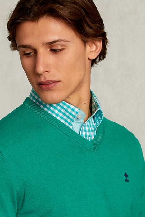 NORMAL FIT BASIC COTTON V-NECK PULLOVER GREEN TWIST MIX GREE 4