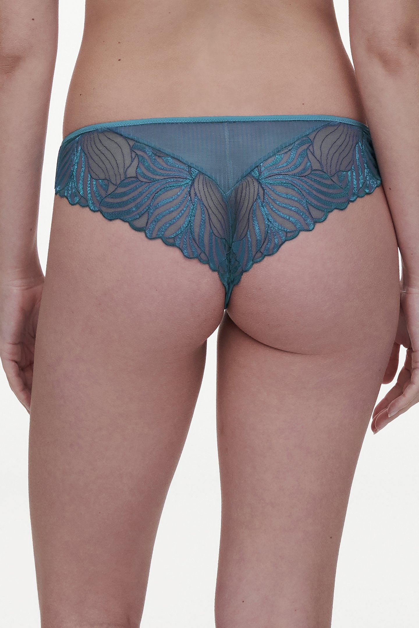 LEGEND TANGA BLUE 2