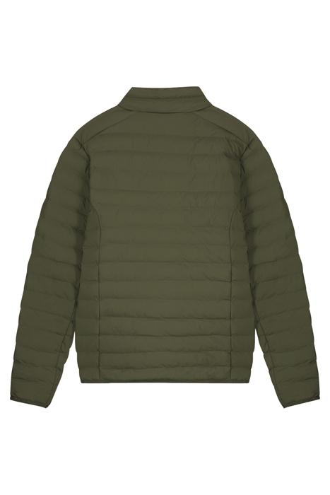 KIDS THE K1 FOREST NIGHT 2