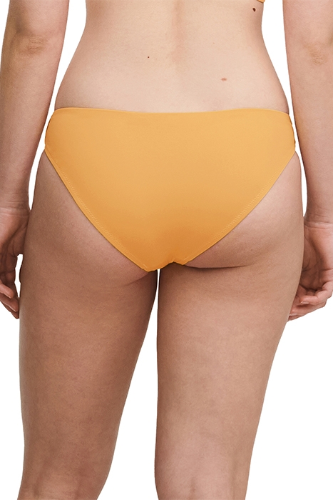 ARIZONA TAWNY YELLOW 3