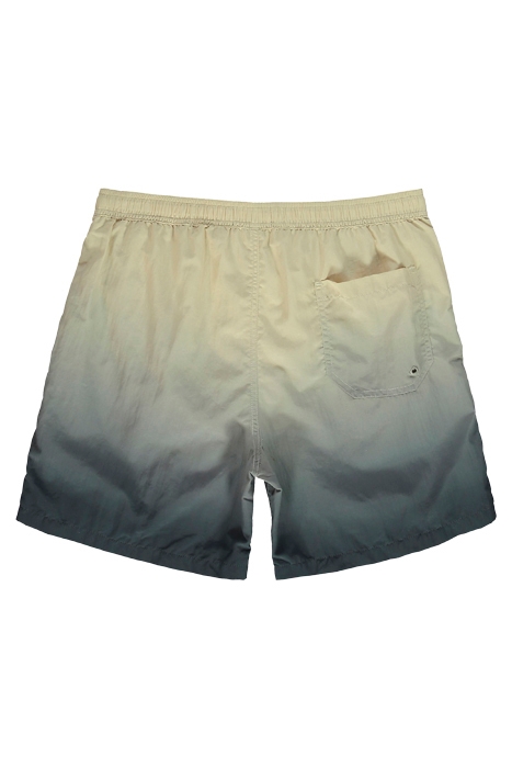 IMMERSE SWIMSHORT SAND TAUPE/BLUE 2