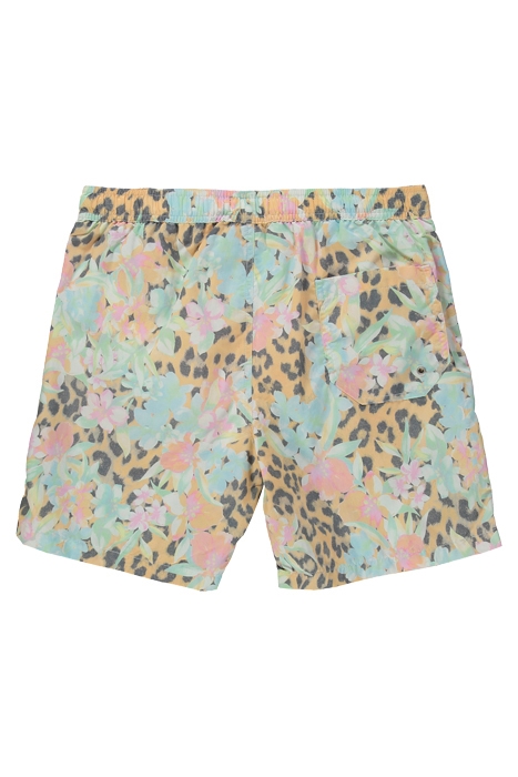 LIGULARIA SWIMSHORT YELLOW 2