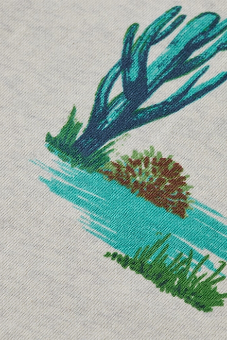 PRINTED CREWNECK FELPA SWEATSHIRT IN ORGANIC COTTON COMBO D 7