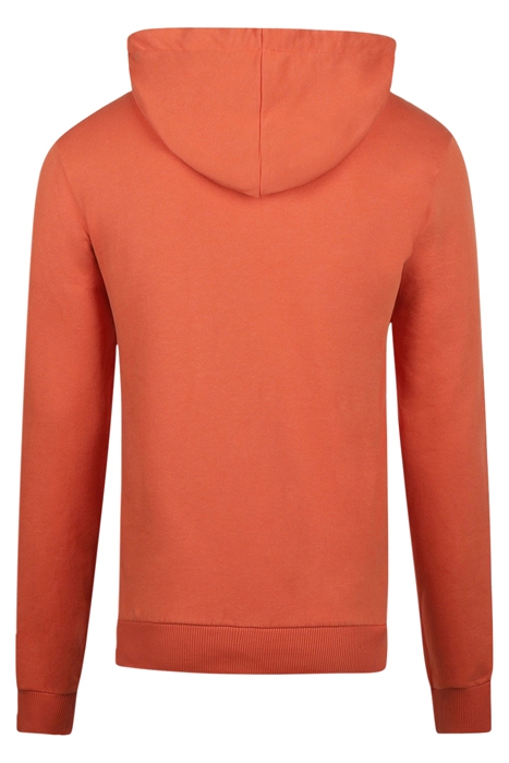 GRAPHIC HOODY TERRA 2