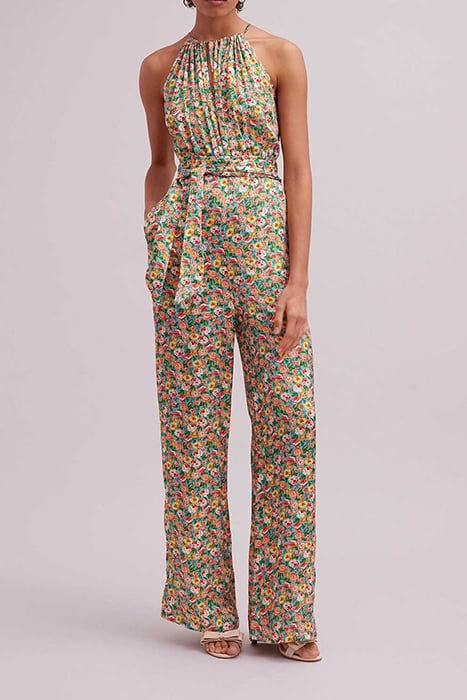 TROPEZIEN NECTARINE 2