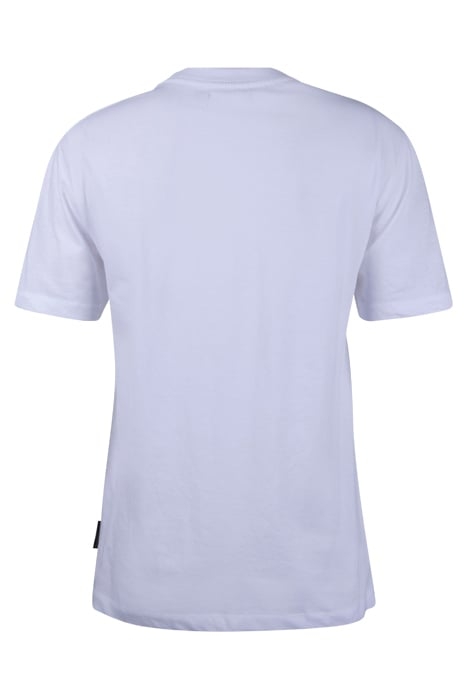 SURFING BEAR WHITE 2