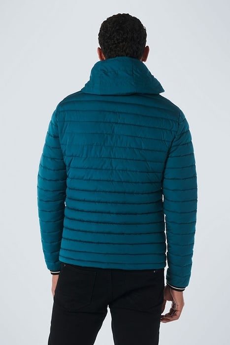 JACKET HOODED SHORT FIT PADDED OCEAN 2