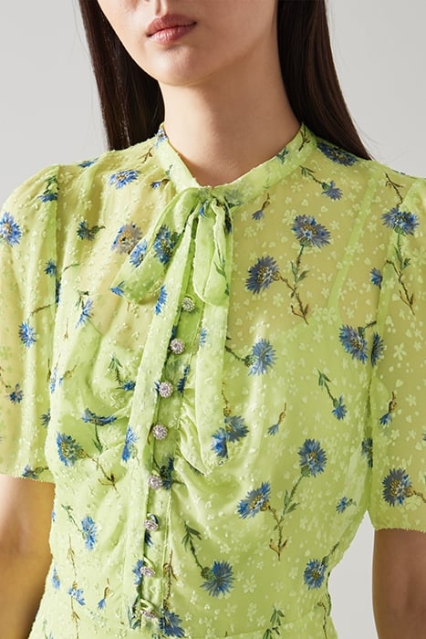DR SINA CORNFLOWER PRINT LIME 5