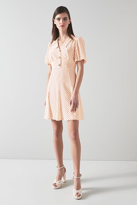 DR HILDE - 30'S SPOT PRIN MULTI 2