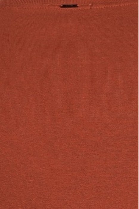 RUST COTTON ROUND NECK T-SHIRT RUSTY 5