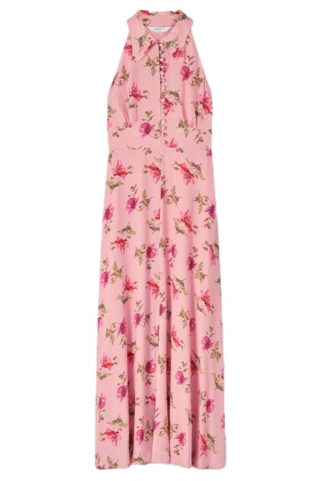 DR FLORI - GIANT POPPY PR MULTI 3