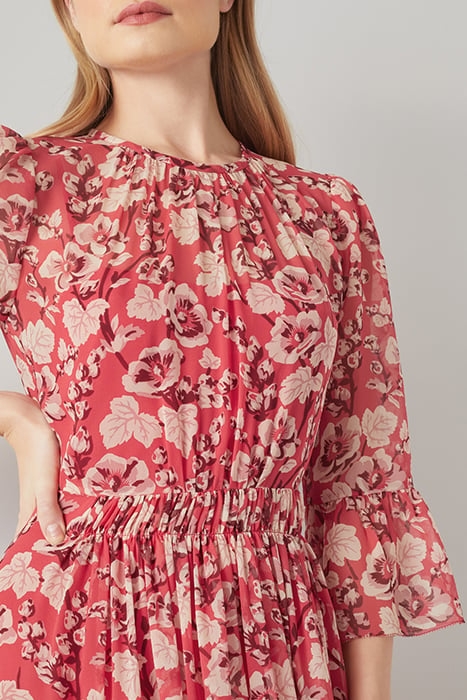 DR LOURDES - MEADOW SCENE MULTI 5