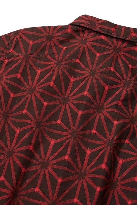 BRANDON IKAT PRINT 3