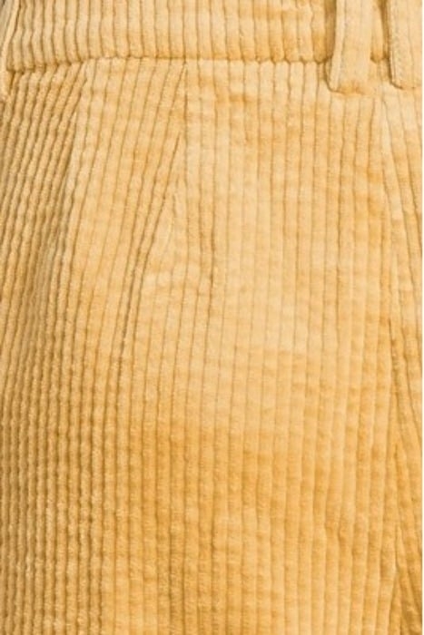 CORDUROY RELAXED PLEATED PANTS TAOS TAUPE 5