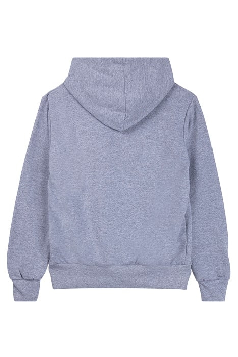 JR HOODIE ESCH ROME 22 MERCH GREY MELANGE 2