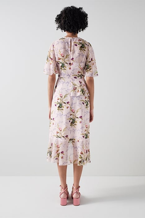 DR THEA MEADOW SCENE MULTI 3