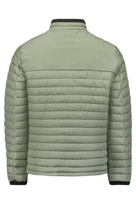 JACKET SHORT FIT PADDED LIGHT ARMY 5