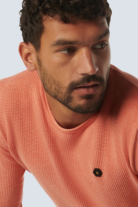 PULLOVER CREWNECK 2 COLOURED JACQUARD MELON 6