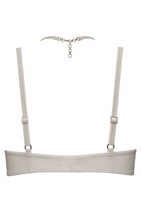 THE MAURITSHUIS IVORY 4