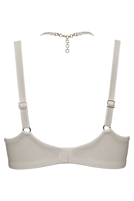 THE MAURITSHUIS IVORY 3