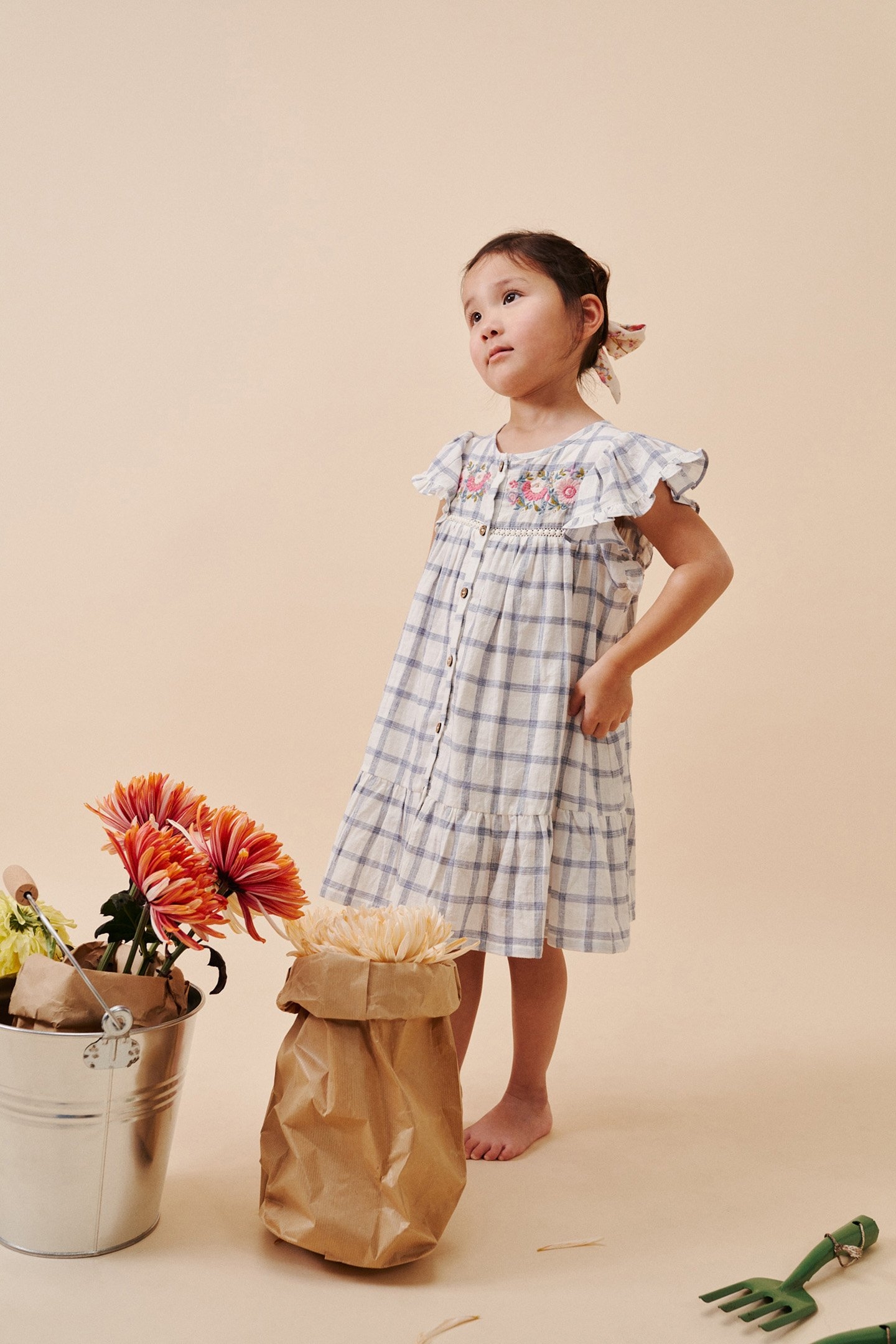 DRESS CARLINA BLUE RIVER CHECKS 4