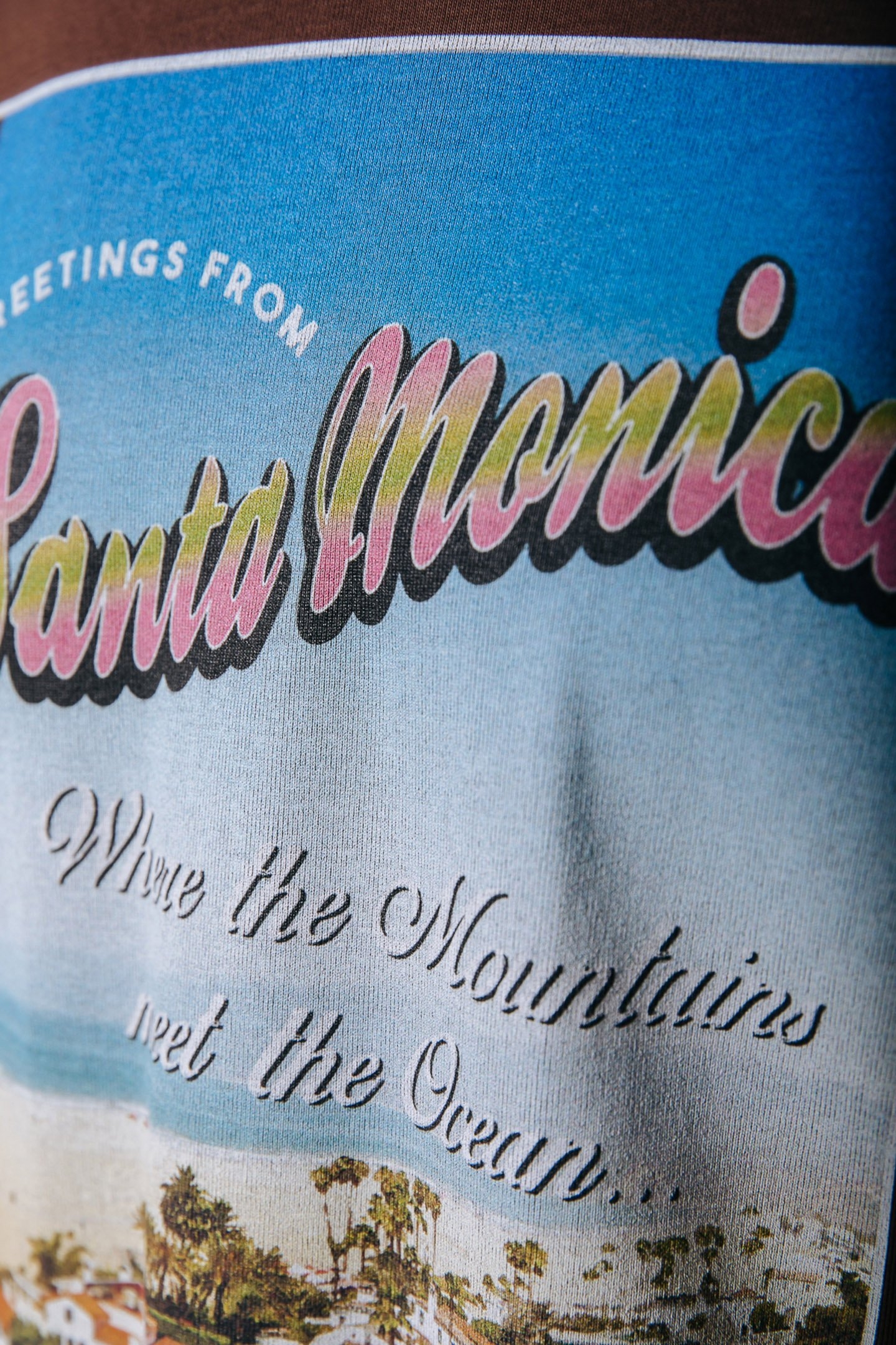 SANTA MONICA LOOSEFIT TEE DRESS BROWN 5