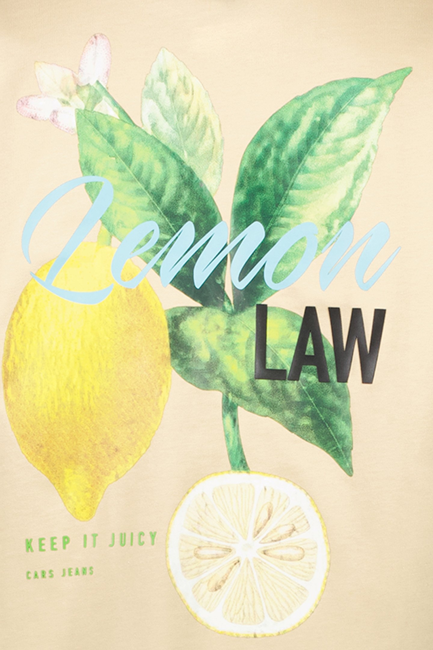 LEMONLAW TS BACKPRINT SAND 3