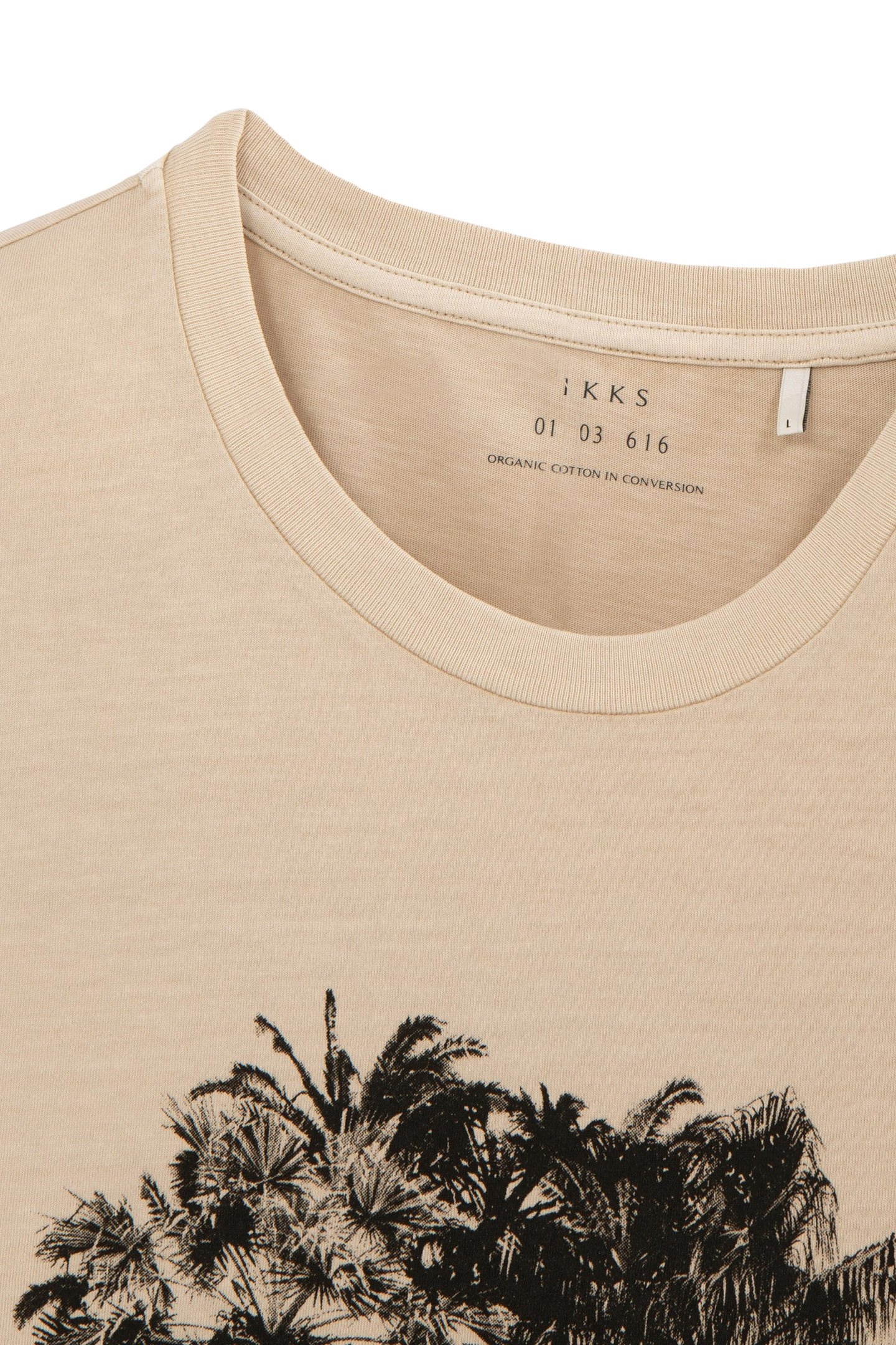 SAND T-SHIRT WITH PALM TREE-SKULL IMAGE 6