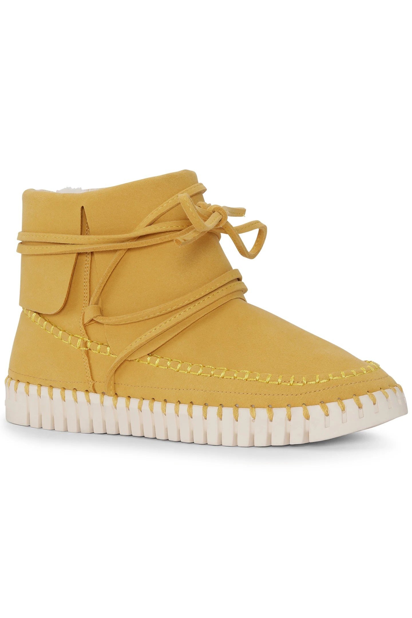 TULIP6073 GOLDEN ROD 1