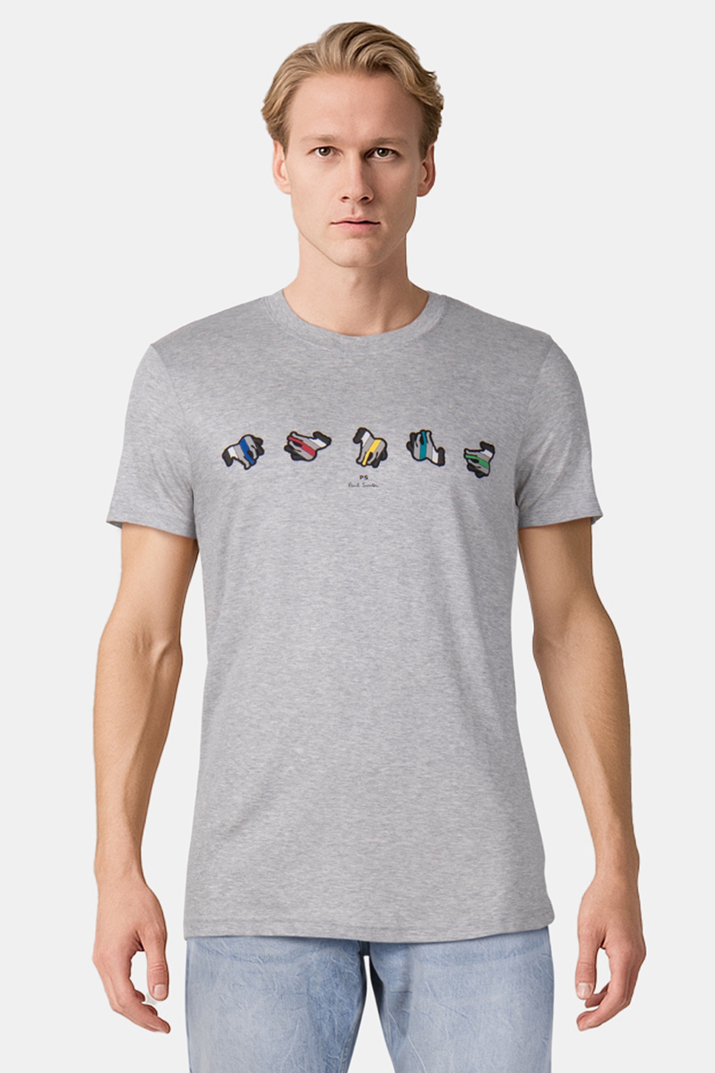 REG FIT TSHIRT ZEBRA REPEAT GREY MELANGE 1