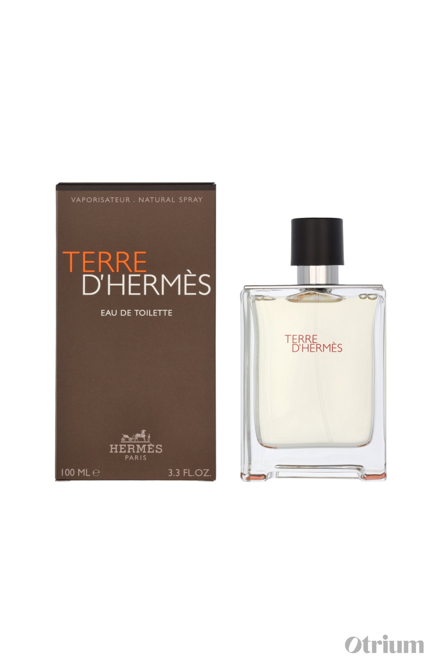 HERMÈS - TERRE D'HERMÈS - EDT (100ML) 2
