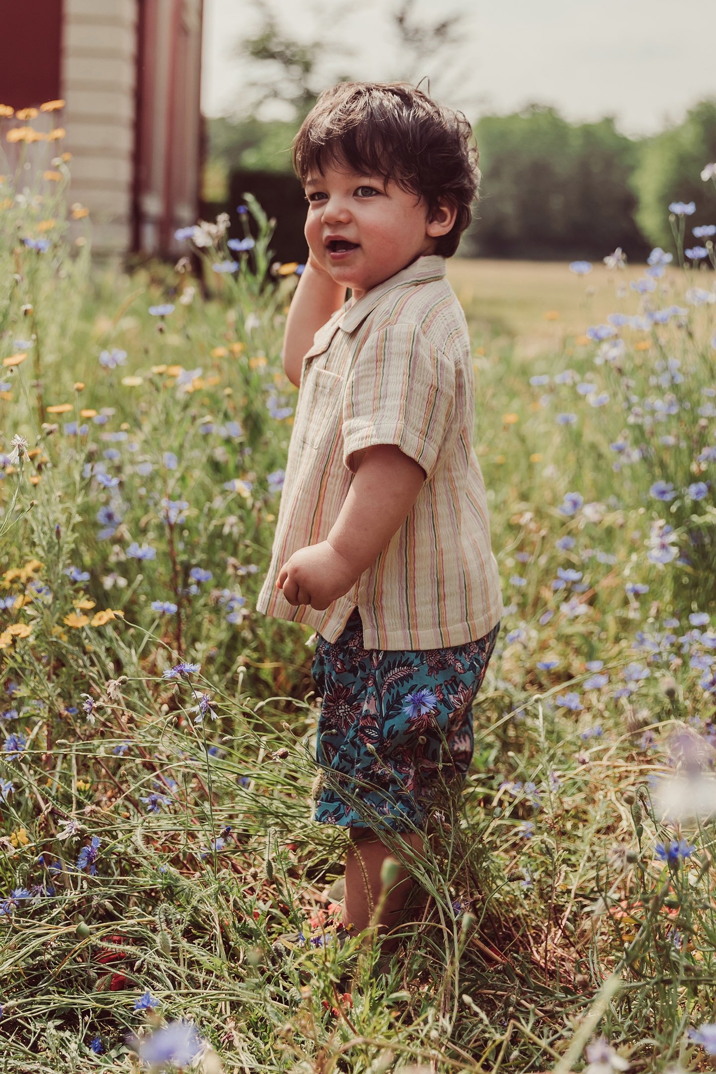 SHIRT ALOV MULTICO RAINBOW LINE 3