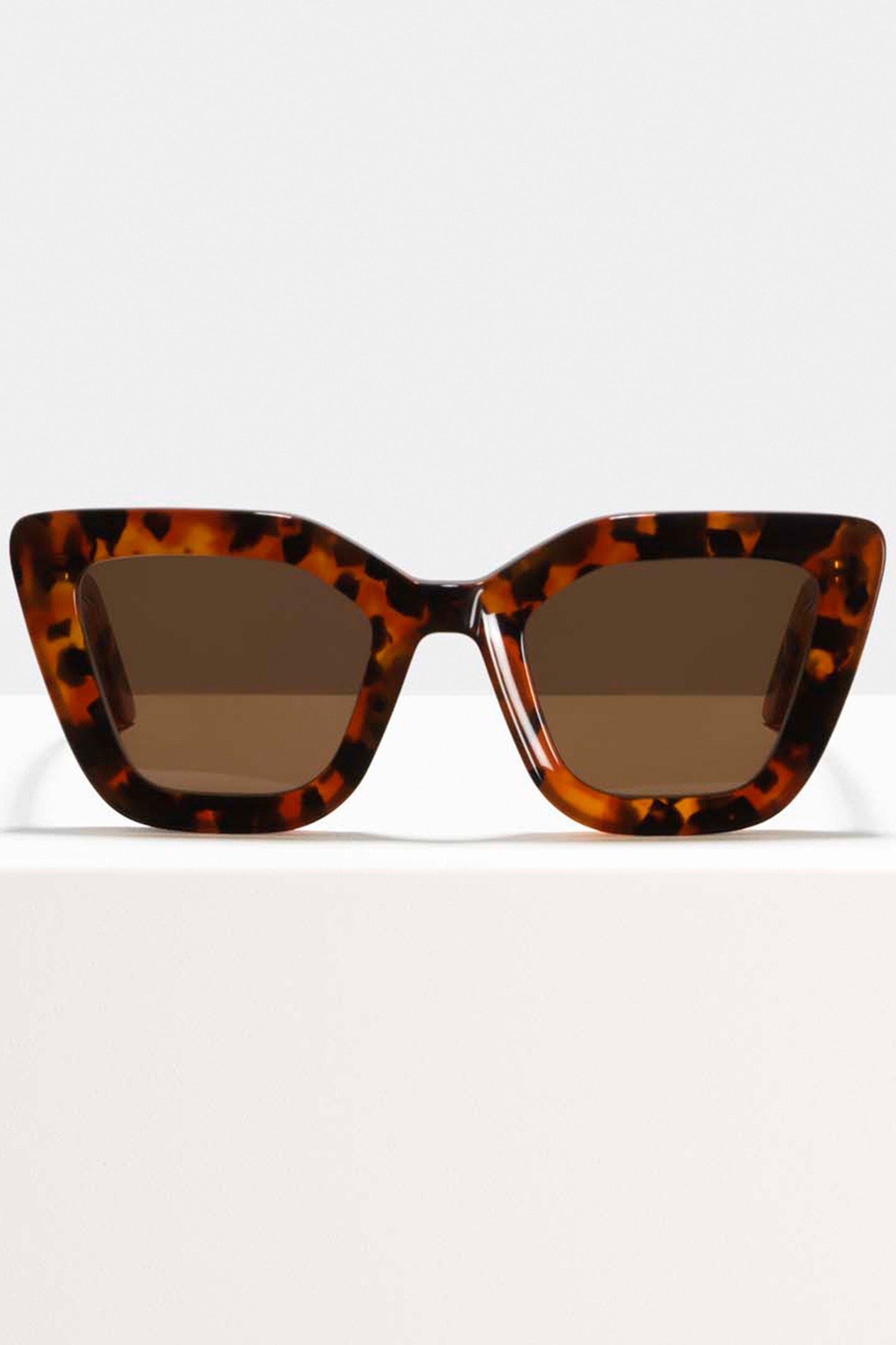 BELLA EYE OF THE TIGER SUN 1