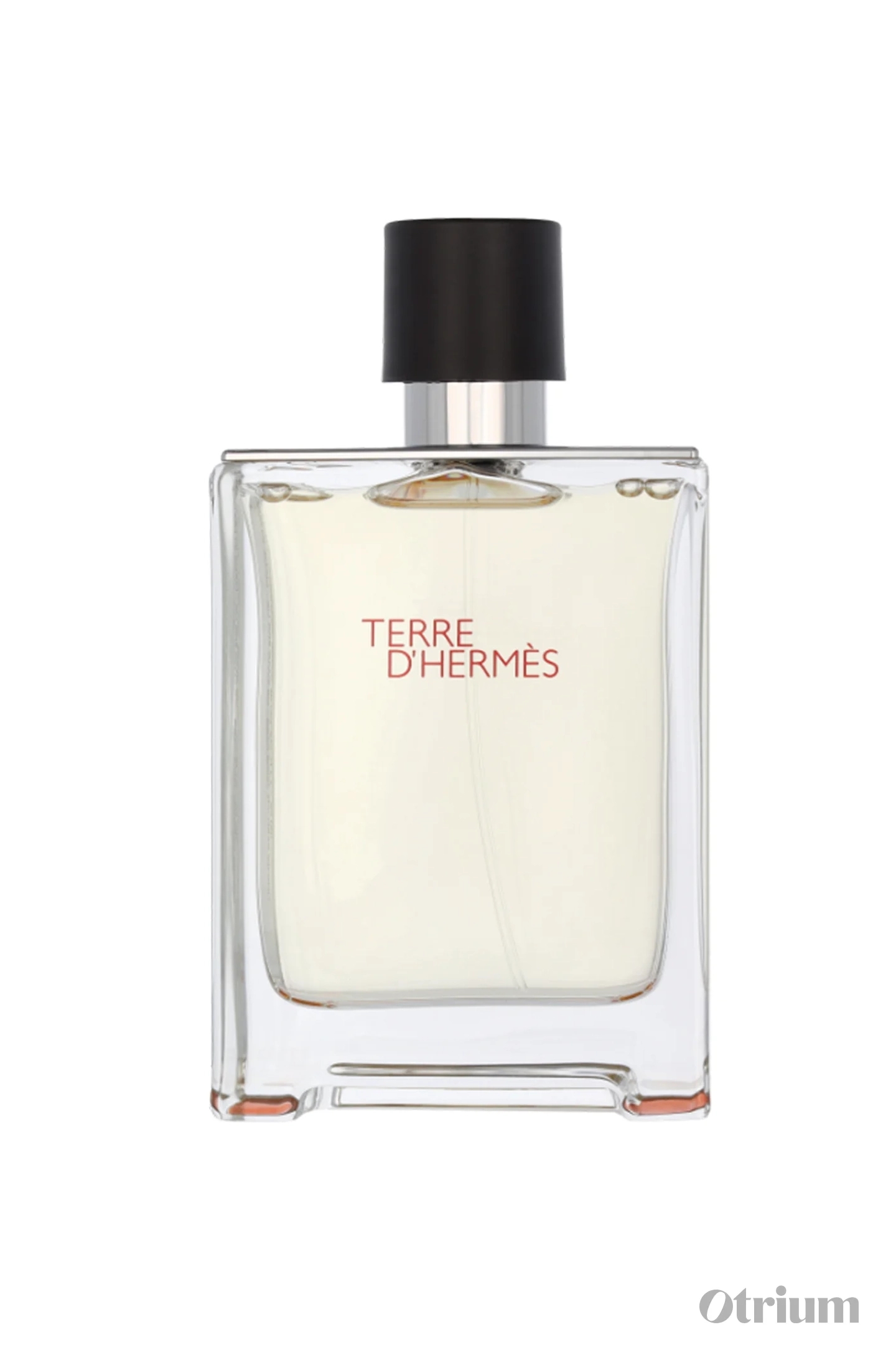 HERMÈS - TERRE D'HERMÈS - EDT (100ML) 1