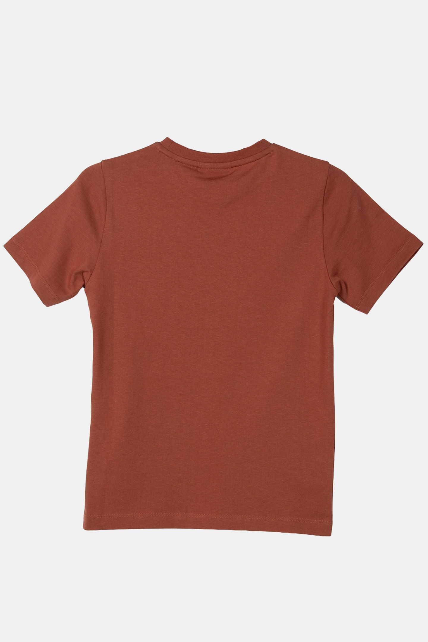 PLAIN T-SHIRT BRICK 3