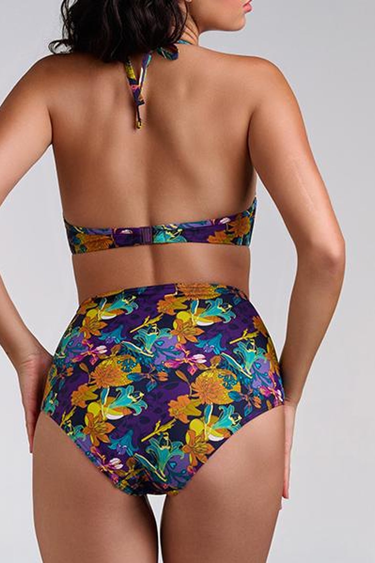 ACAPULCO PETUNIA PURPLE BRIEFS 2