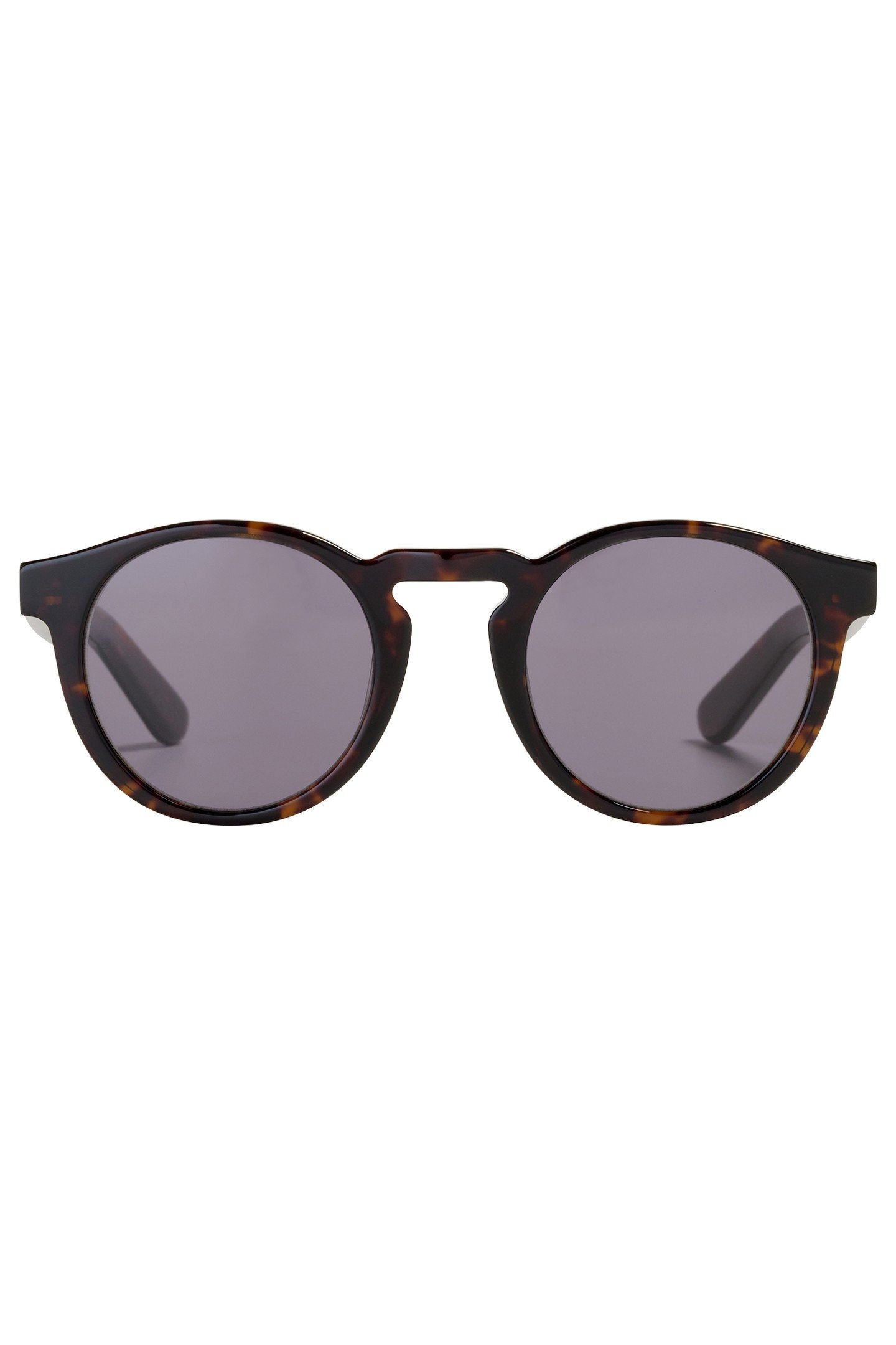 BENJAMIN-MULBERRY-TREE-SUN 1