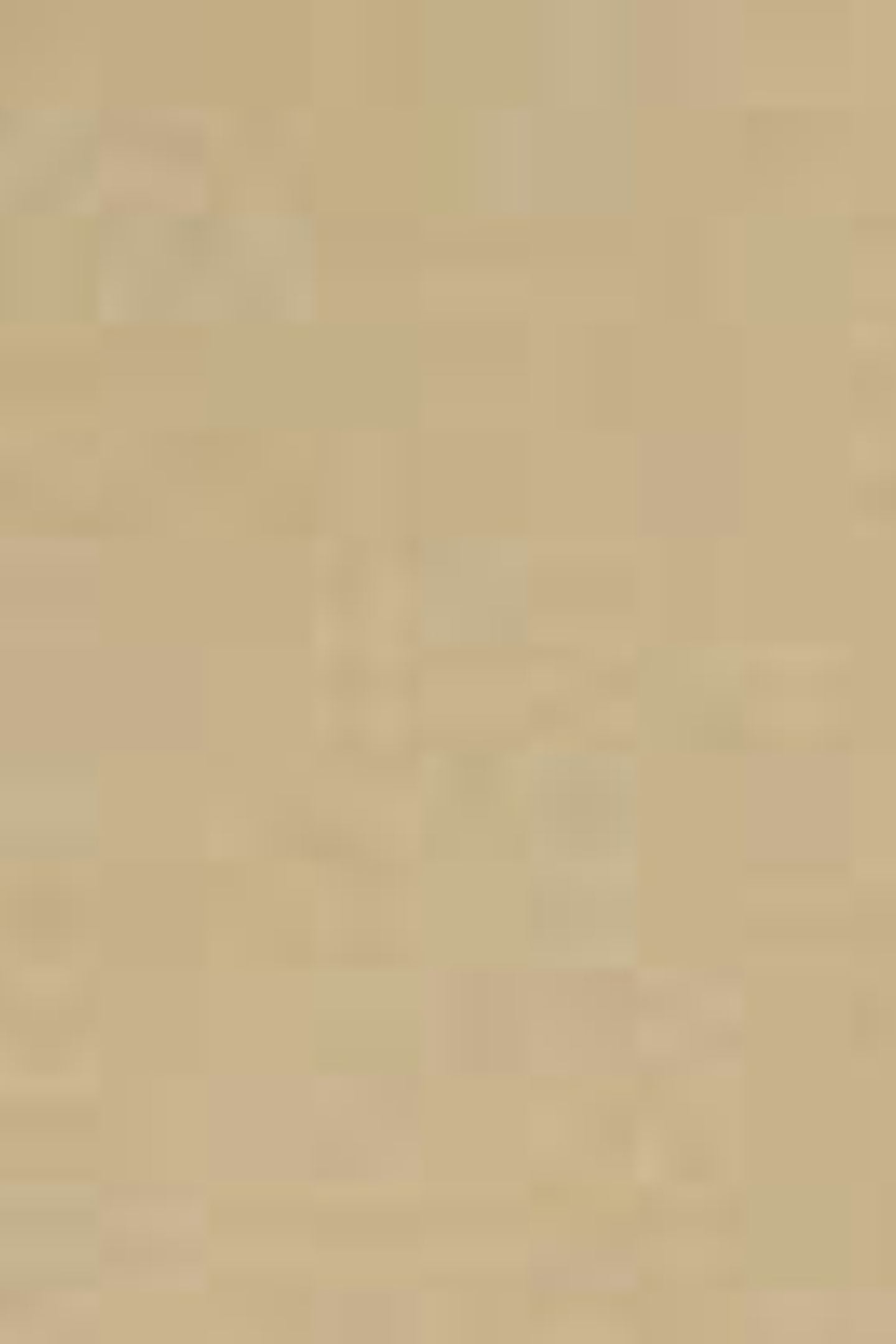 TWILL HOTEL KARL CREST SWEATSHIRT 5