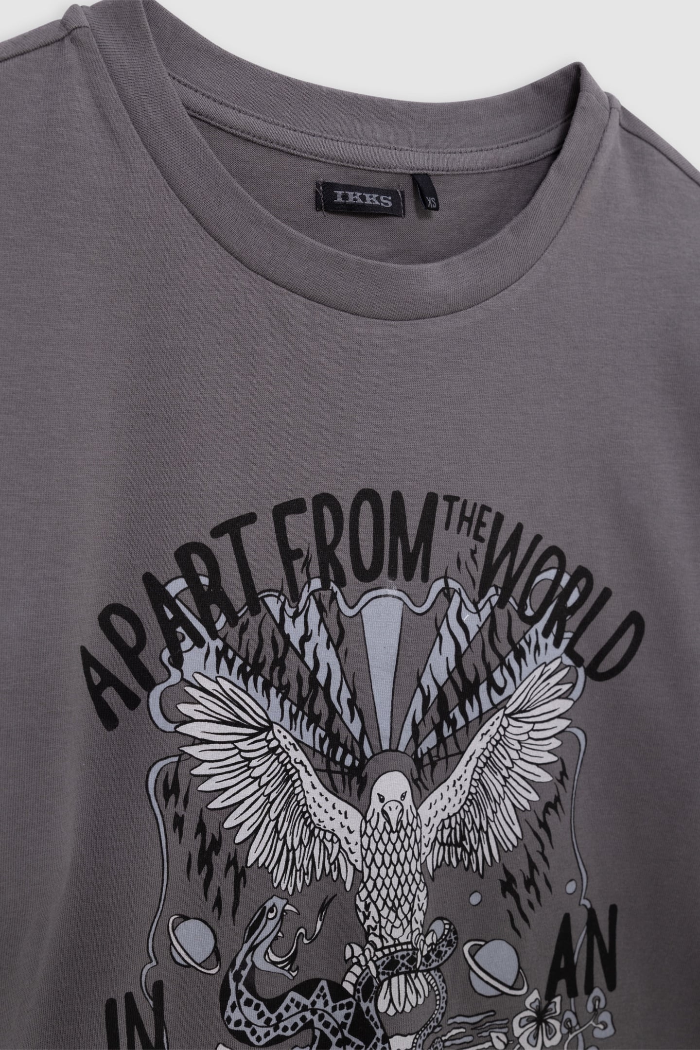 GIRL'S VISUAL EAGLE T-SHIRT IN GREY ORGANIC COTTON 5