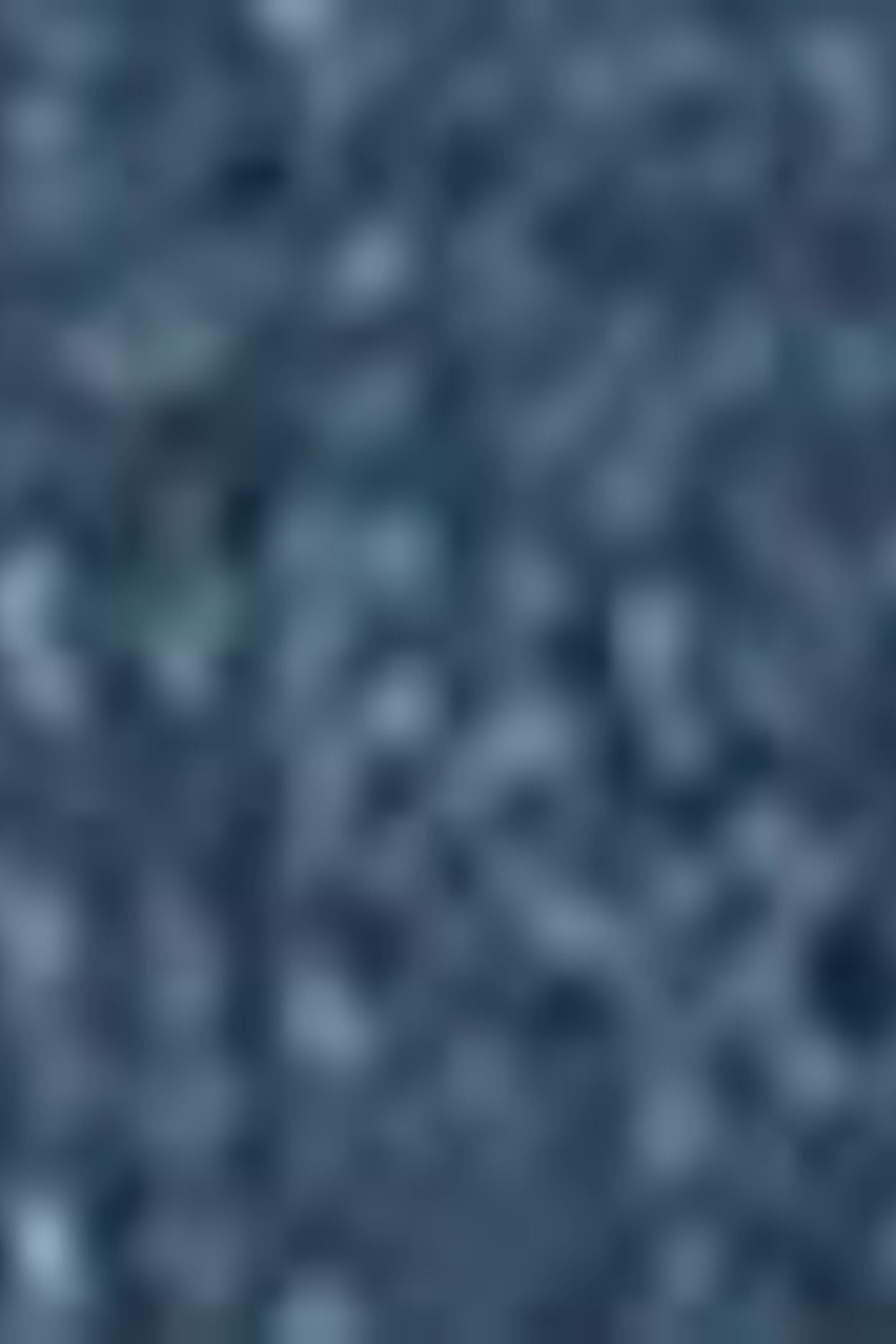 SUPERLOW BOOT SHOW ON THE ROAD 7