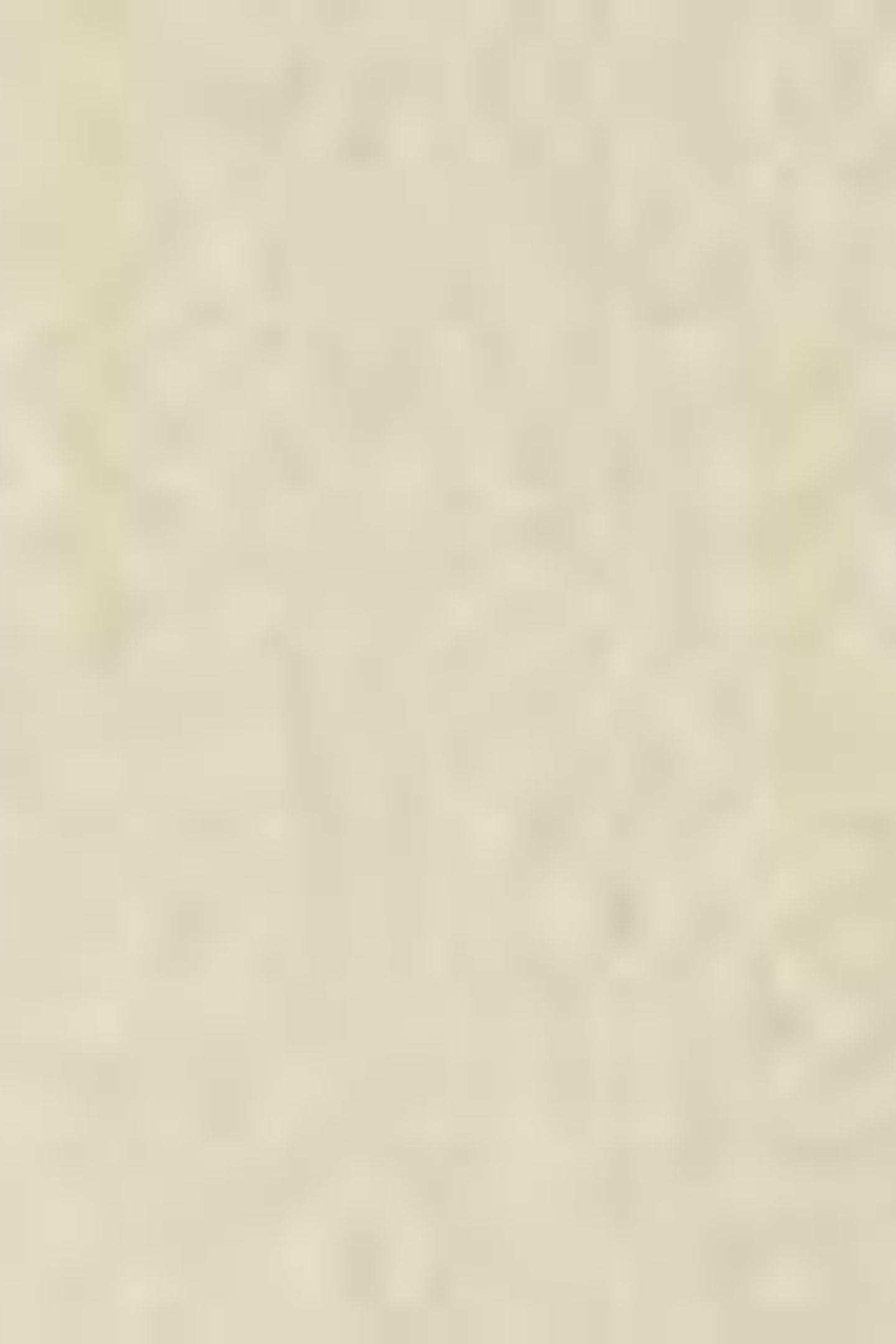 HALF SLEEVE TEE MOSS GRAY 6