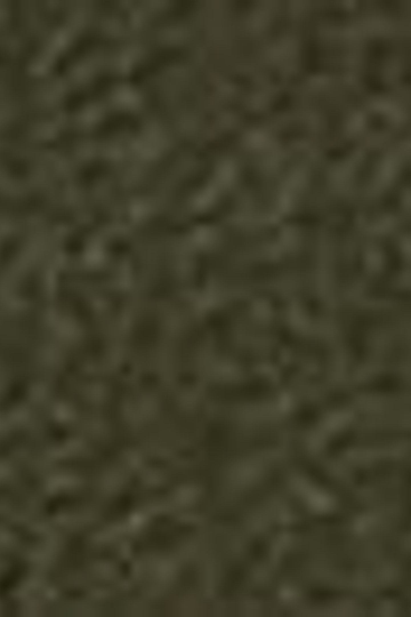 XX CHINO STD II ROSIN WOOL LIKE 8