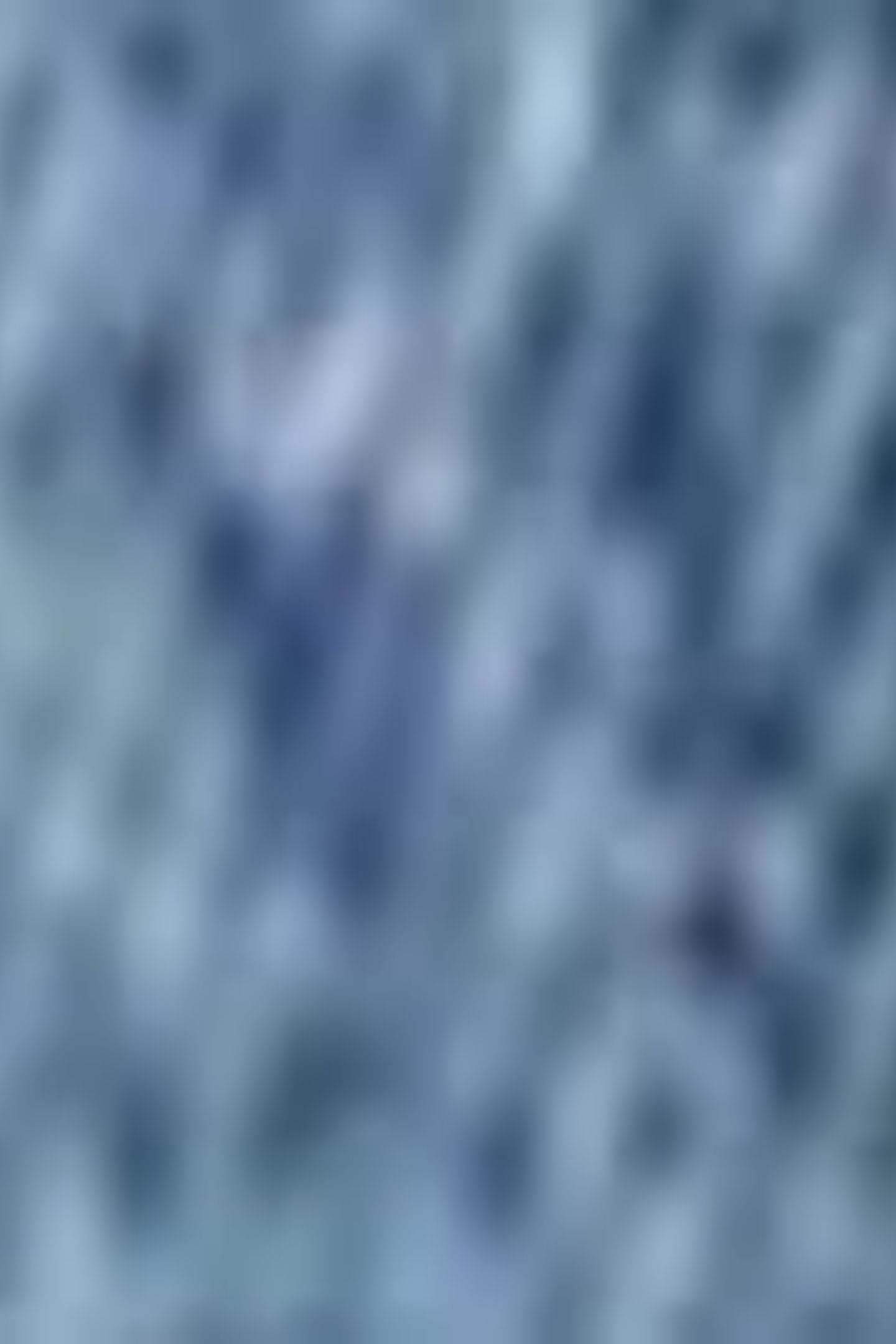 WESTERN SHERPA TRUCKER JACKET BLUE 6