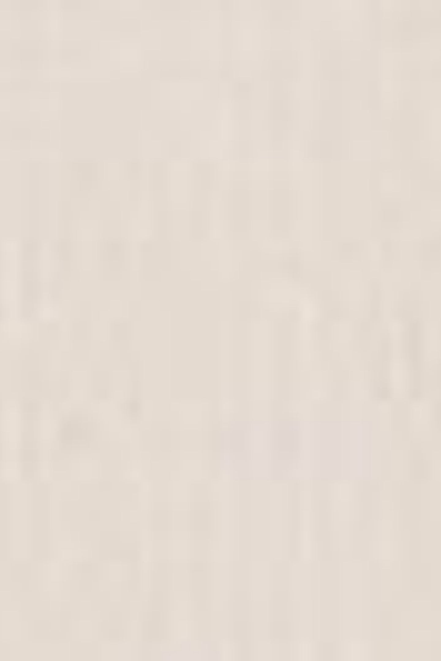 HERITAGE CREWNECK SWEATSHIRT NEUTRAL 4