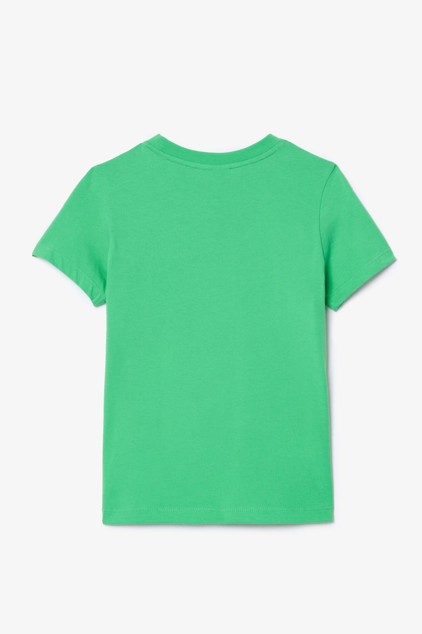 CHILDREN TEE-SHIRT PEPPERMINT 6