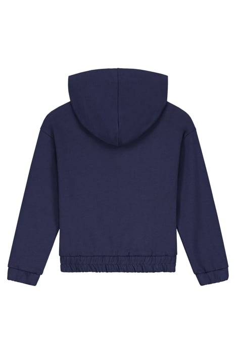 LIMITED HOODIE BLUEBERRY 2